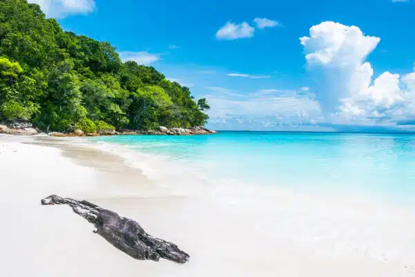 Découvrez l’irrésistible charme de Raiatea en bord de mer